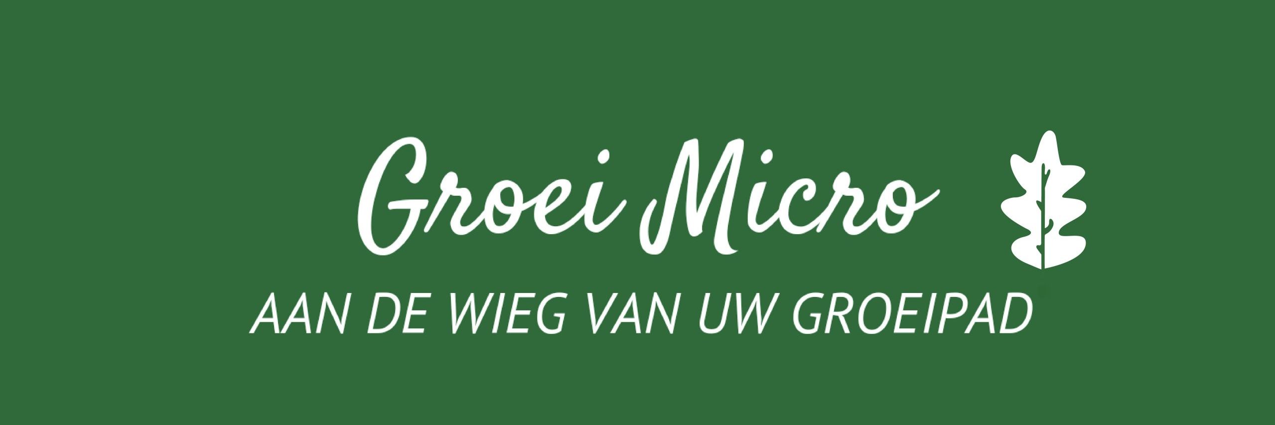 Stichting Groei Microkrediet